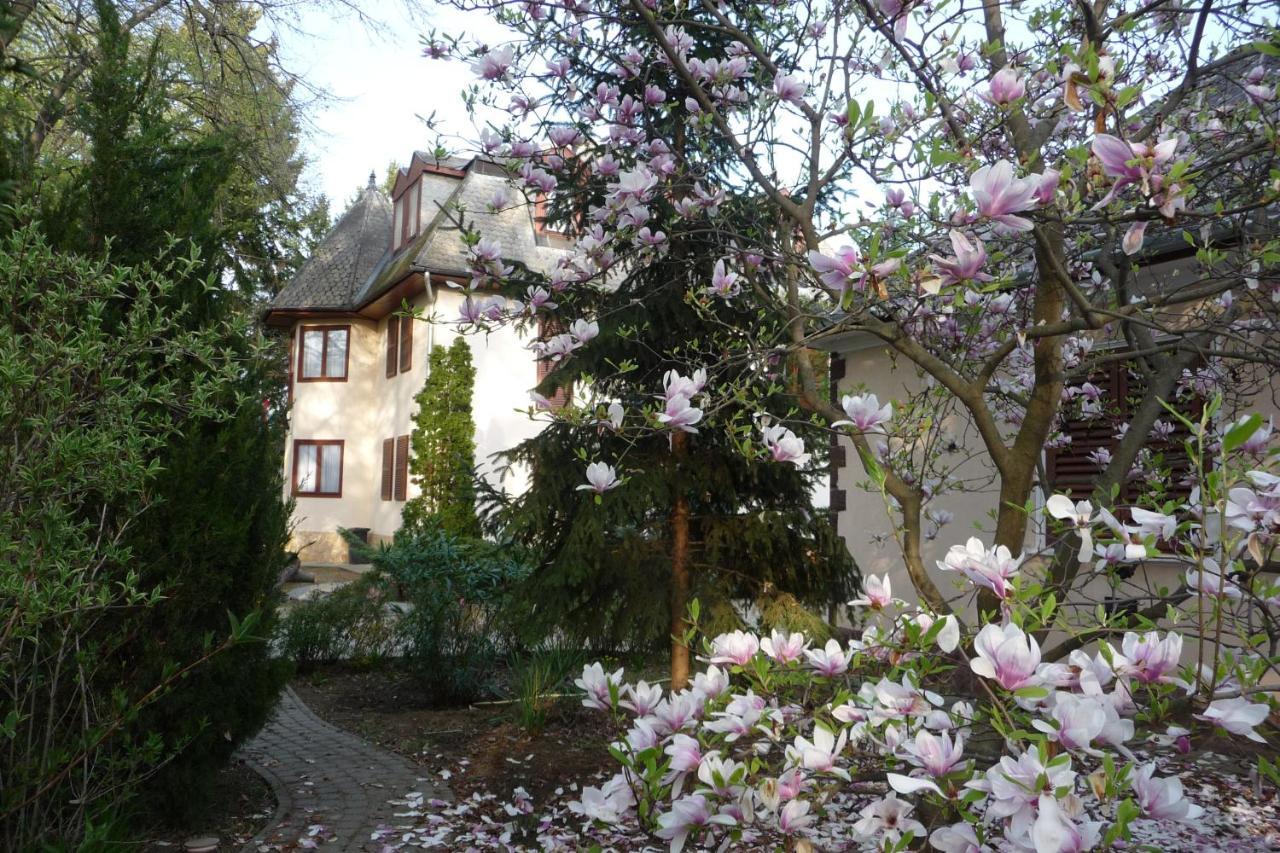 Balaton Art Guesthouse Balatonszárszó Εξωτερικό φωτογραφία