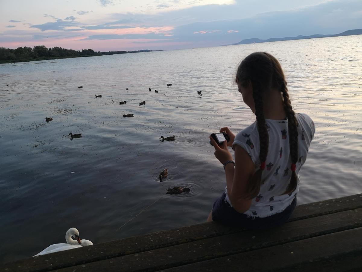 Balaton Art Guesthouse Balatonszárszó Εξωτερικό φωτογραφία