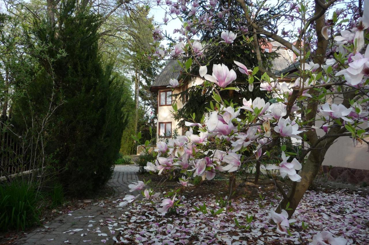 Balaton Art Guesthouse Balatonszárszó Εξωτερικό φωτογραφία