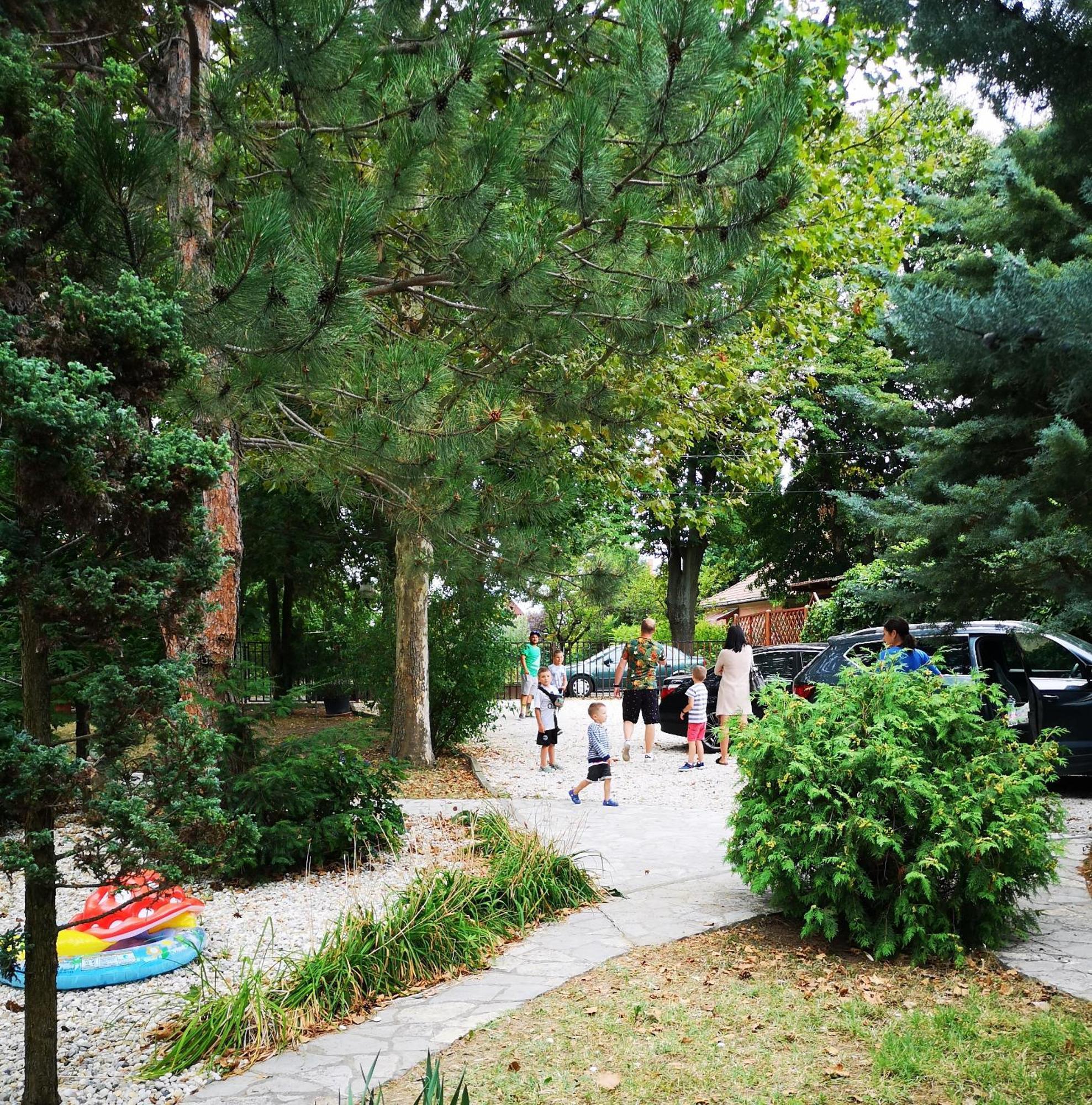 Balaton Art Guesthouse Balatonszárszó Εξωτερικό φωτογραφία