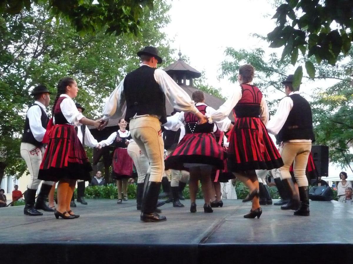Balaton Art Guesthouse Balatonszárszó Εξωτερικό φωτογραφία