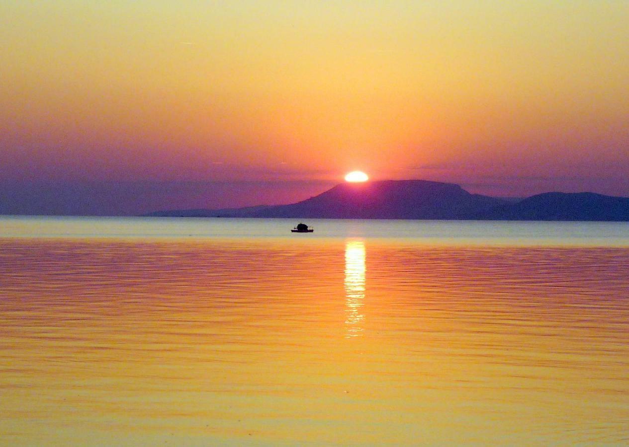 Balaton Art Guesthouse Balatonszárszó Εξωτερικό φωτογραφία