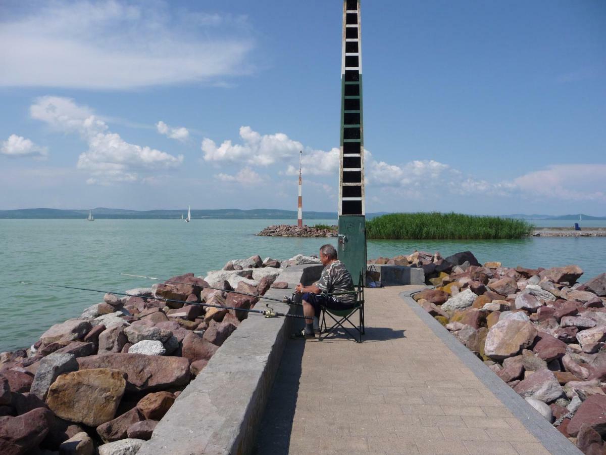 Balaton Art Guesthouse Balatonszárszó Εξωτερικό φωτογραφία
